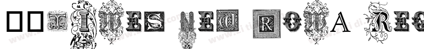 书宋Times new roma Reg字体转换